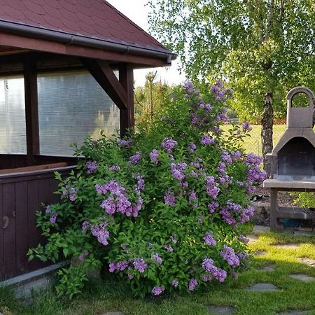 Vila Dom W Skowronkach Sasino Exteriér fotografie