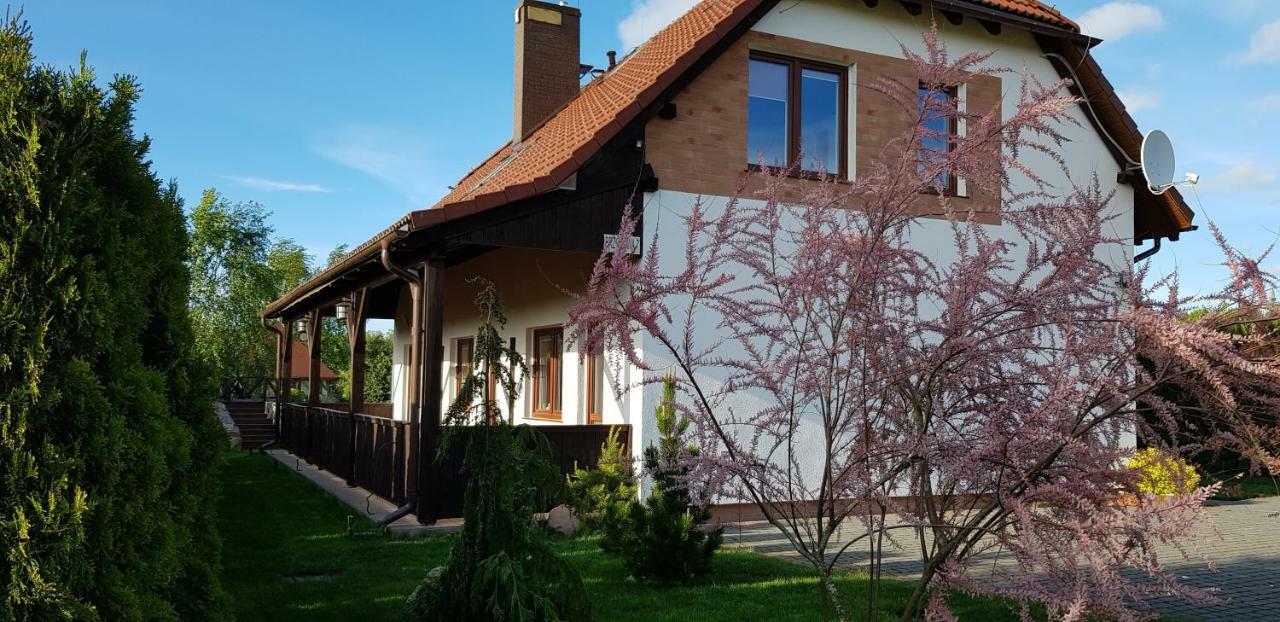 Vila Dom W Skowronkach Sasino Exteriér fotografie